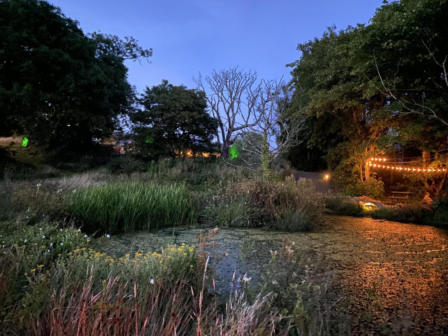 Fern Cottage - Luxurious 1 Bedroom - Blossom Farm Johnston Bagian luar foto