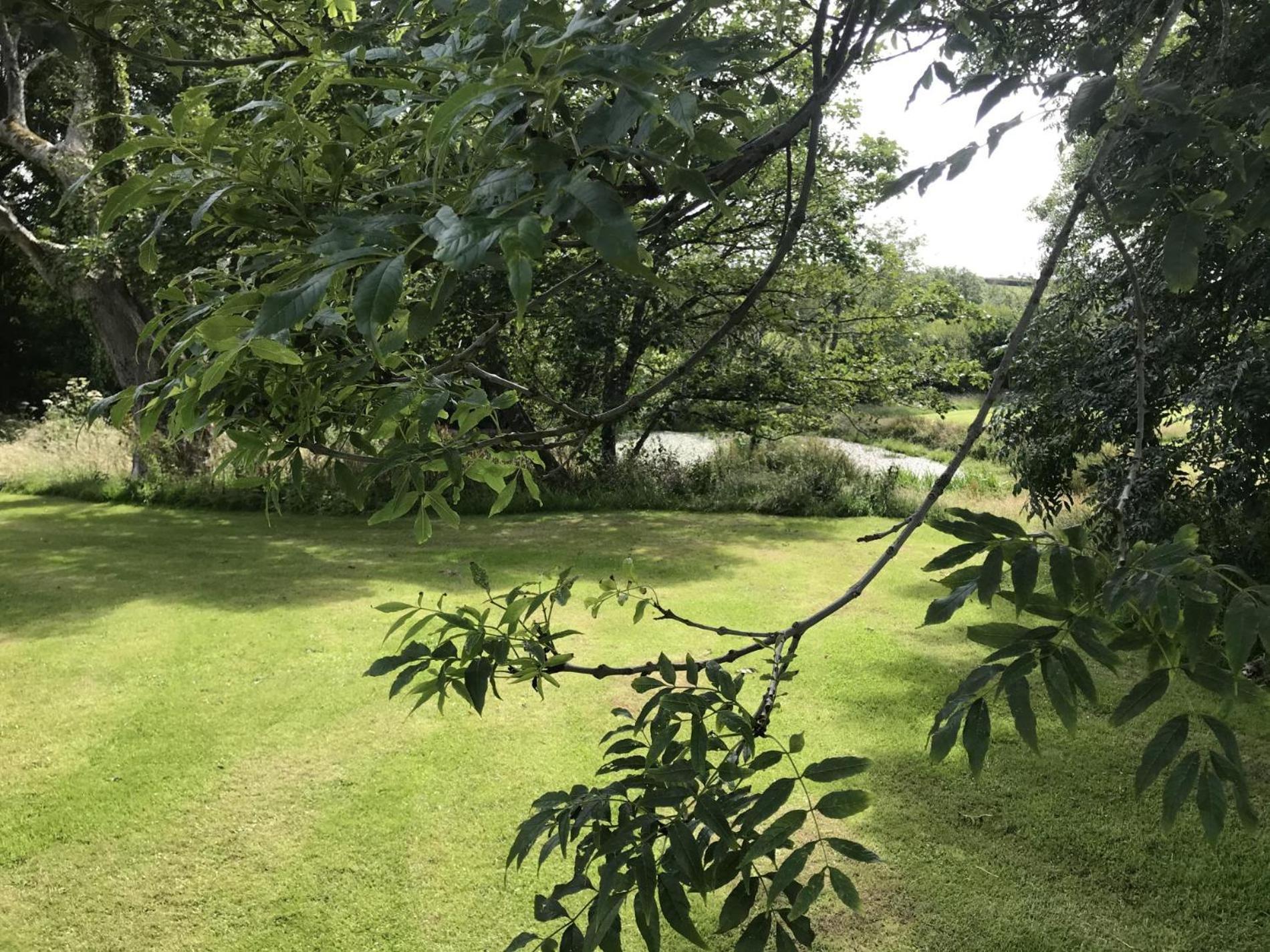Fern Cottage - Luxurious 1 Bedroom - Blossom Farm Johnston Bagian luar foto